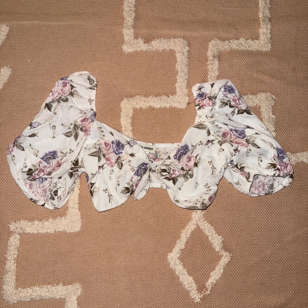 Dippin Daisys Floral Crop Top